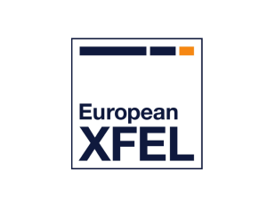 XFEL